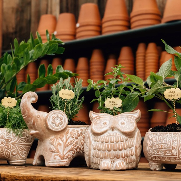 🆕 Handmade Terracotta Trumpeting Elephant Planter Drainage Indoor Outdoor BNIB - Picture 6 of 6